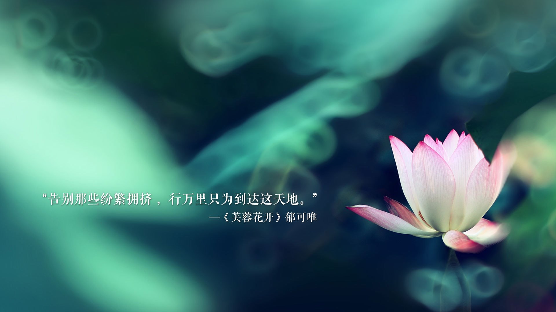 发电机图片及价格（发电机最新报价）